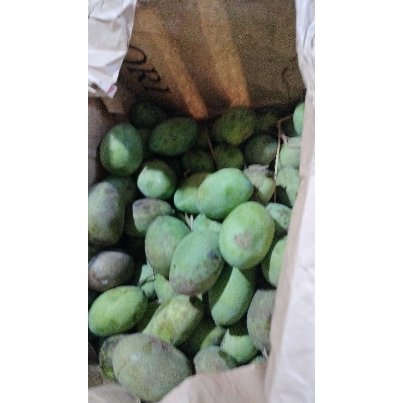 

Mangga Manalagi (500gr)