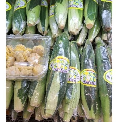 

Jagung Hokkaido Doubel Corn Bisa Dimakan Mentah / Pcs