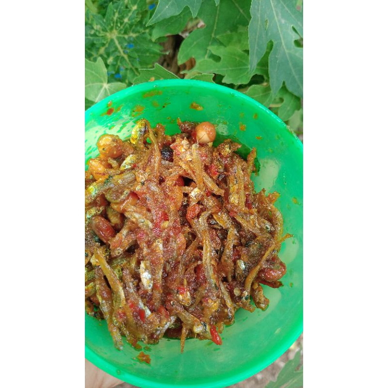 

sambalterikacangdoerbundamega