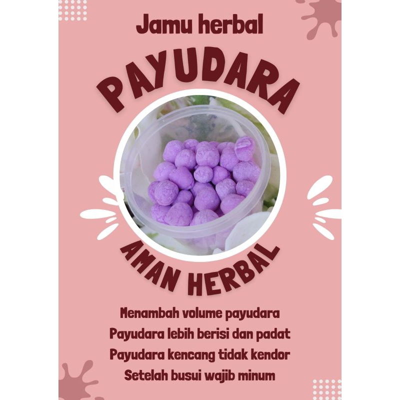 PIL PAYUDARA - JAMU HERBAL PEMBESAR PAYUDARA - 100% TERBUAT DARI BAHAN ALAMI