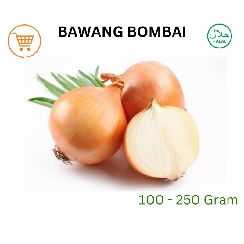 

Bawang Bombai Murah 250 Gram