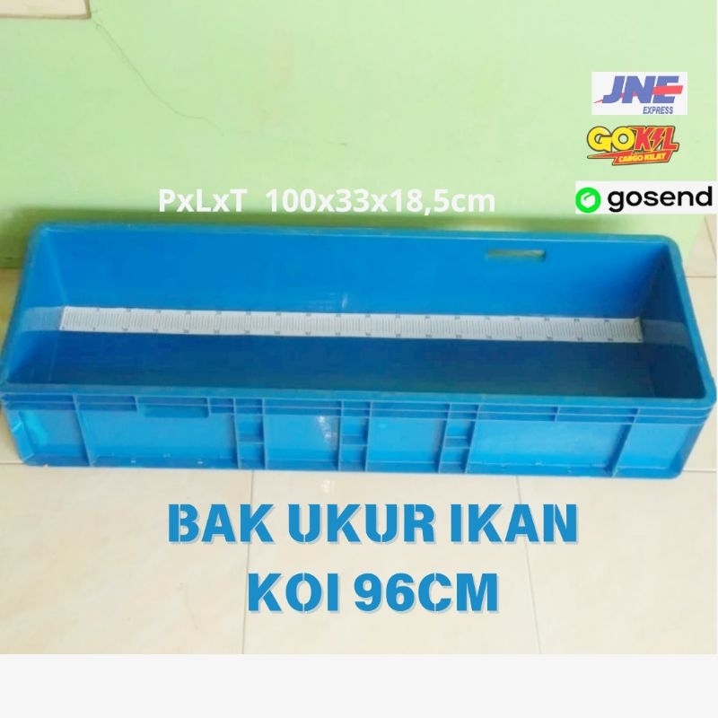 BAK UKUR IKAN KOI 96cm + STIKER UKUR ANTI AIR  100x33x20CM BAHAN PLASTIK BOX IKAN KURA REPTIL