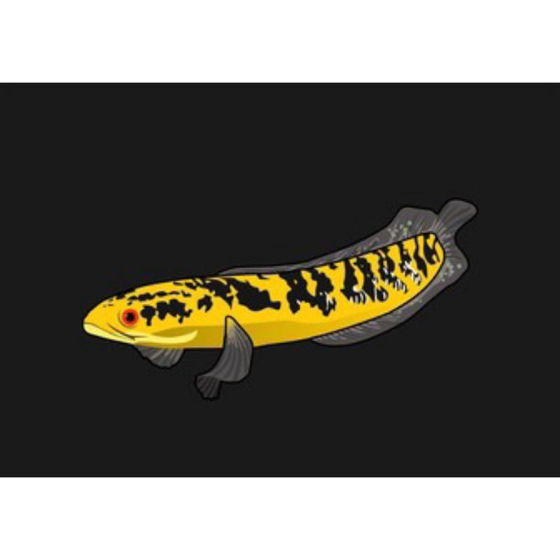 

STIKER YS SIZE 11-12 CM SINGGEL TANK
