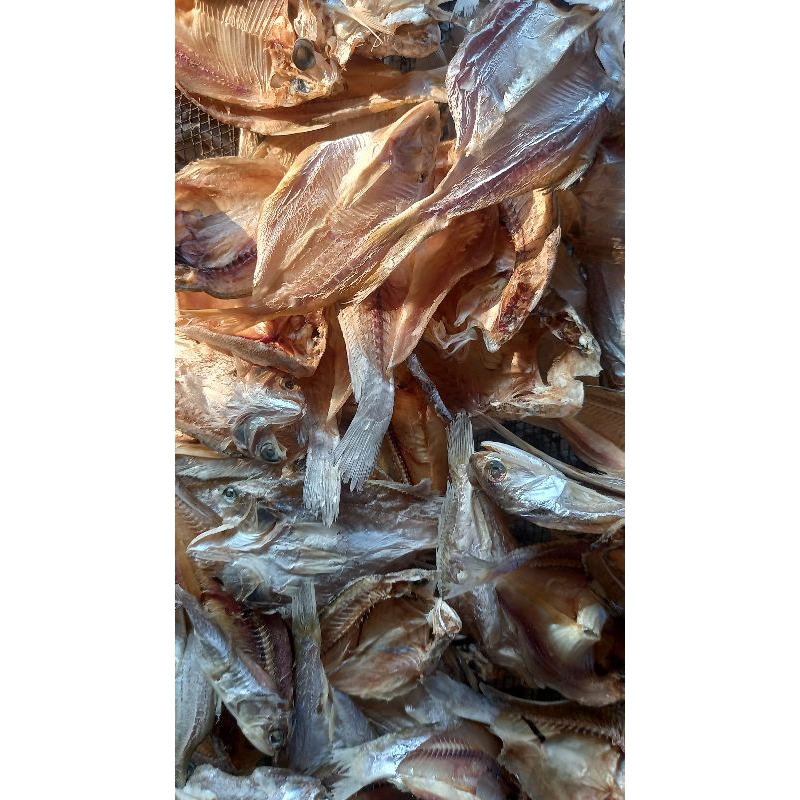 

ilan Fillet [ TETET dan BILIS ]