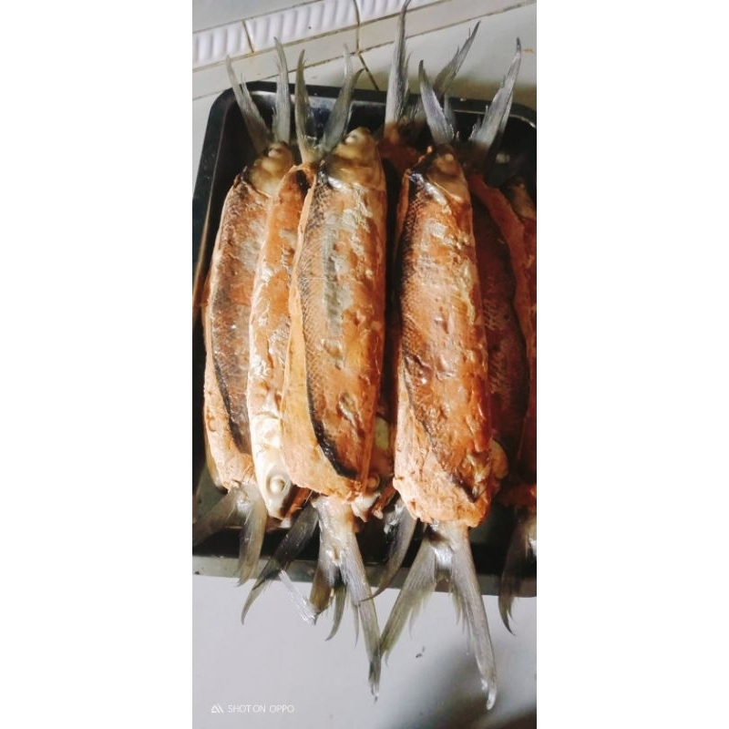 

OTAK OTAK BANDENG KHAS GRESIK ( LEBIH BESAR)