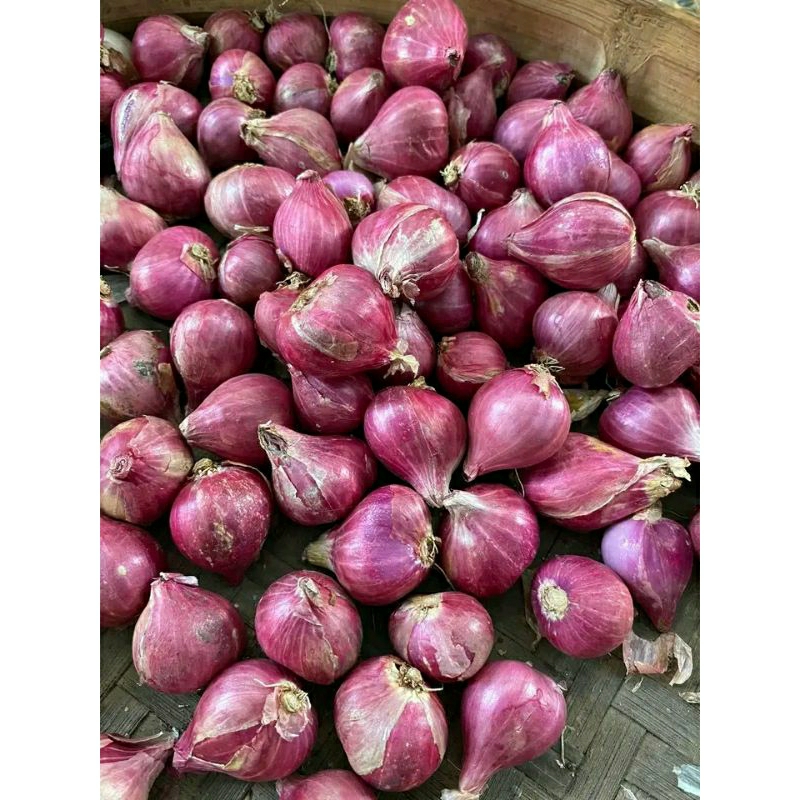 

jual bamer probolinggo