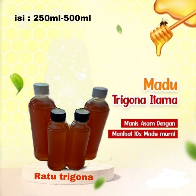 

madu klanceng/trigona itama 100-250ml