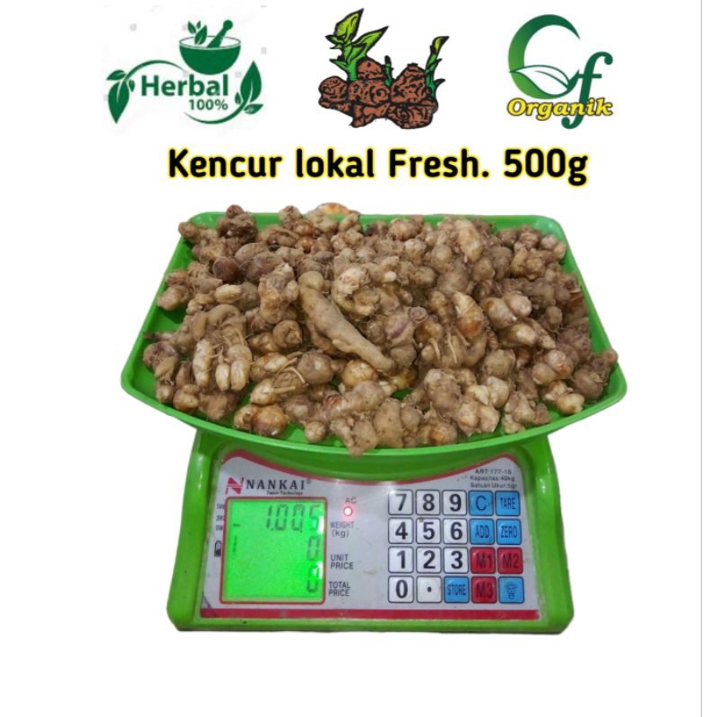 

Kencur 500gr Bumbu masak Empon Empon palawija