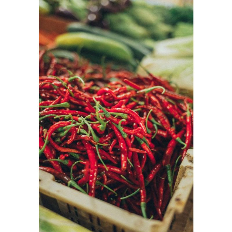 

Cabaimerahsegarpedasreadyselalu