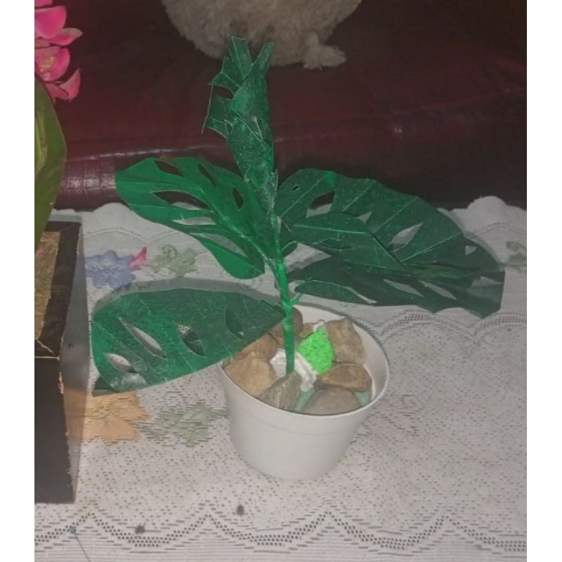 Bunga Janda Bolong Dari Plastik