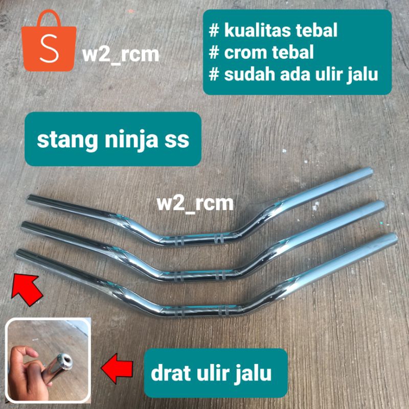 Stang ninja ss
