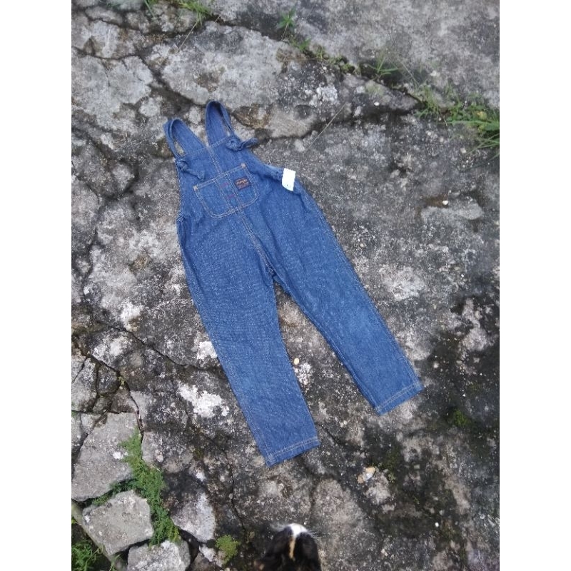 Wrangler kids overall