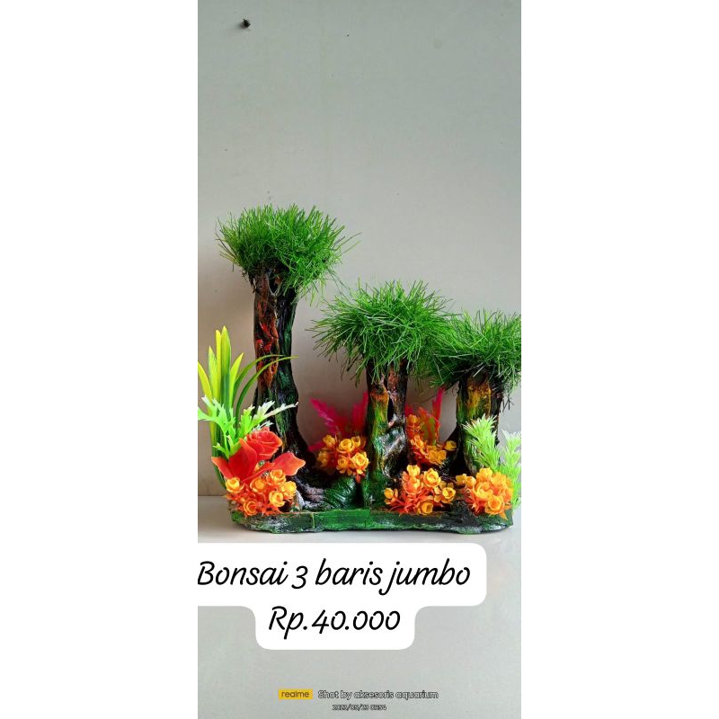 BONSAI 3 BARIS JUMBO|| AKSESORIS AQUARIUM/AQUASCAPE