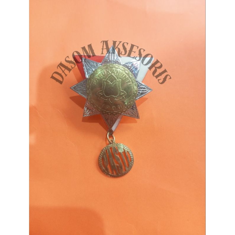 PIN PASTI (Pasukan Inti) IPDN