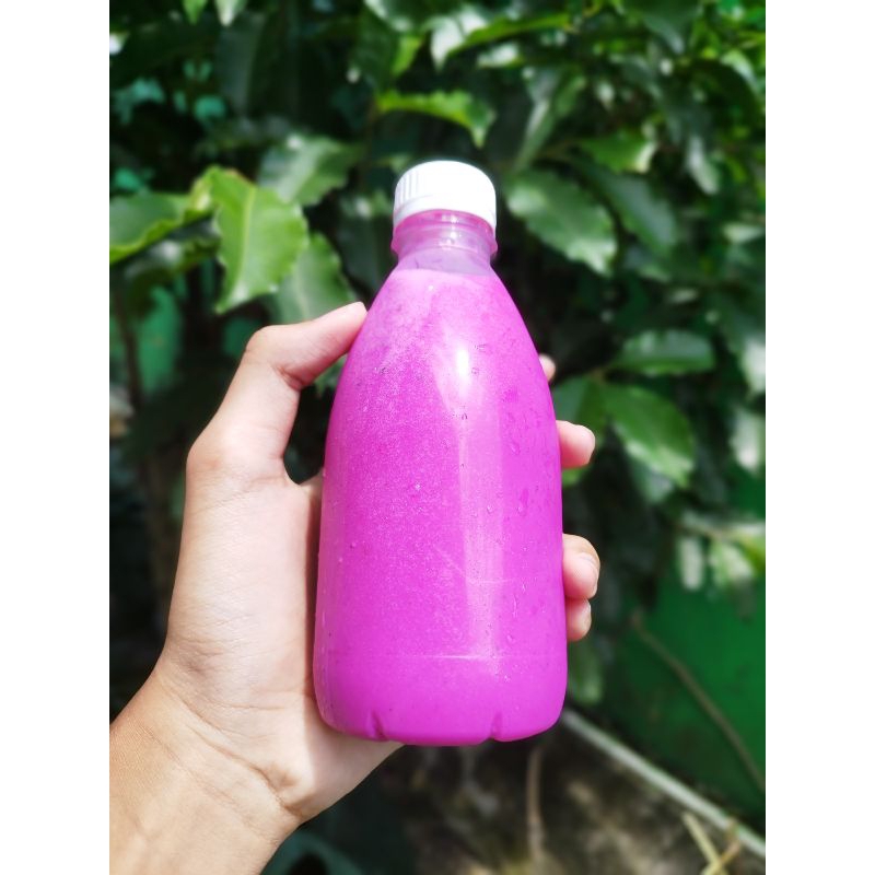 

Kaminari Aloevera lidah buaya