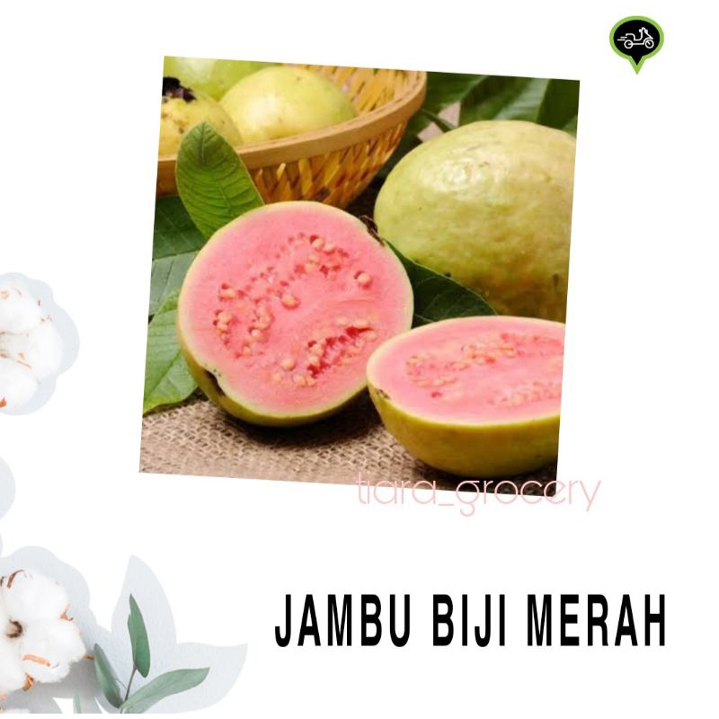 

Jambu biji merah