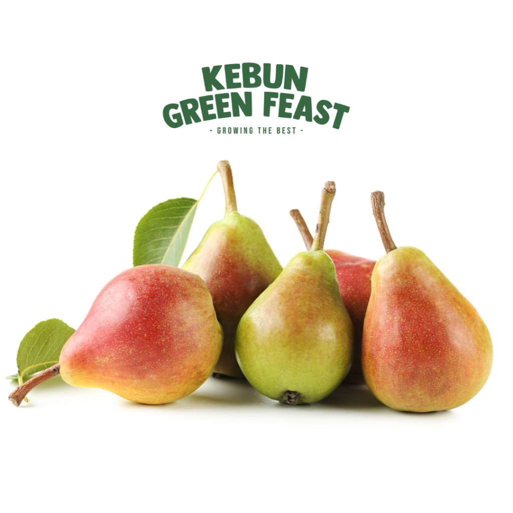 

Pear Forelle - buah impot