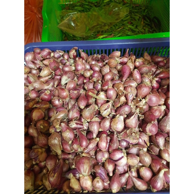 

bawang merah brebes