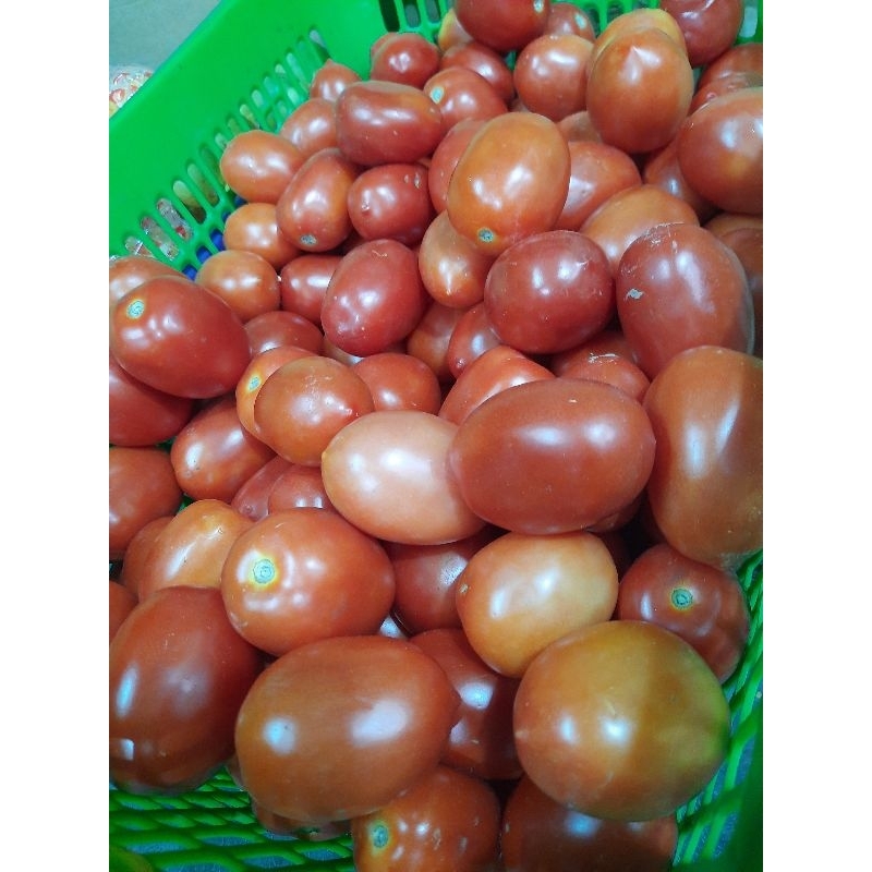 

tomat merah