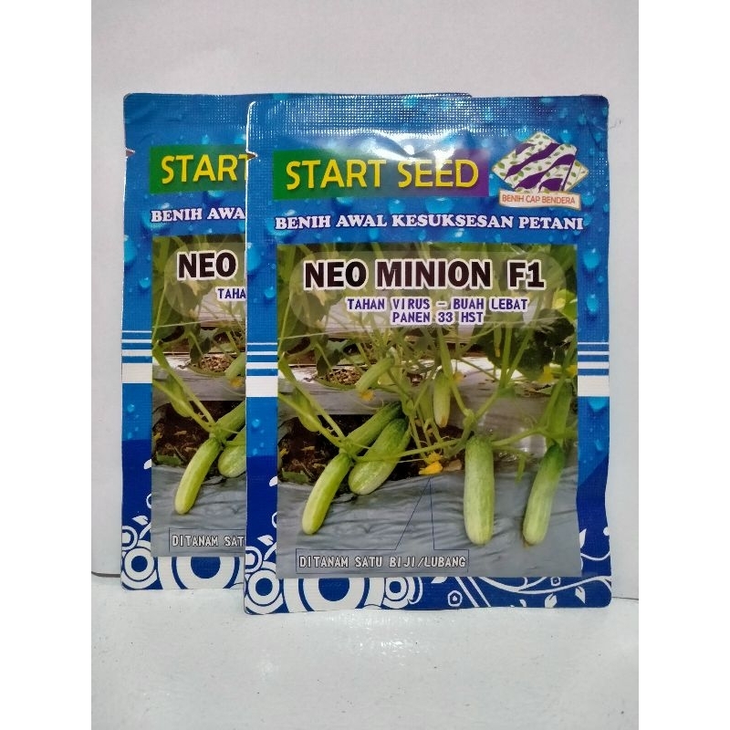 Benih Timun Putih Unggul NEO MINION F1 Isi 20 Gram.