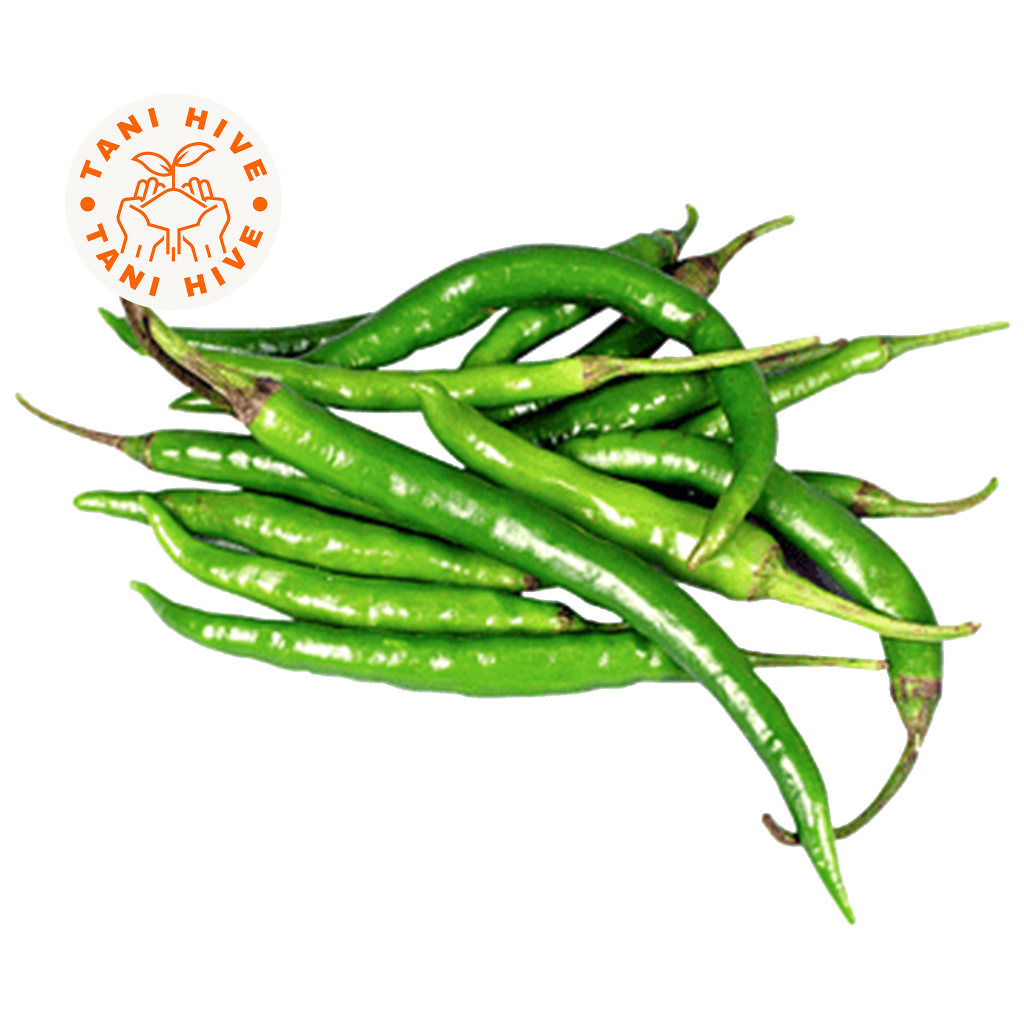 

cabe hijau besar 1kg