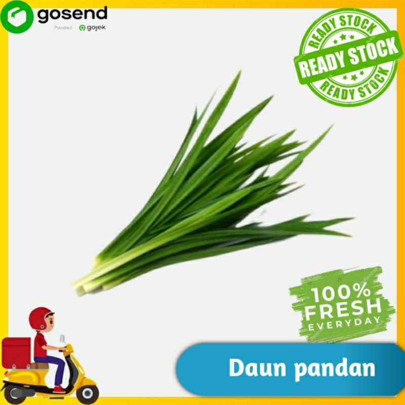 

Daun pandan