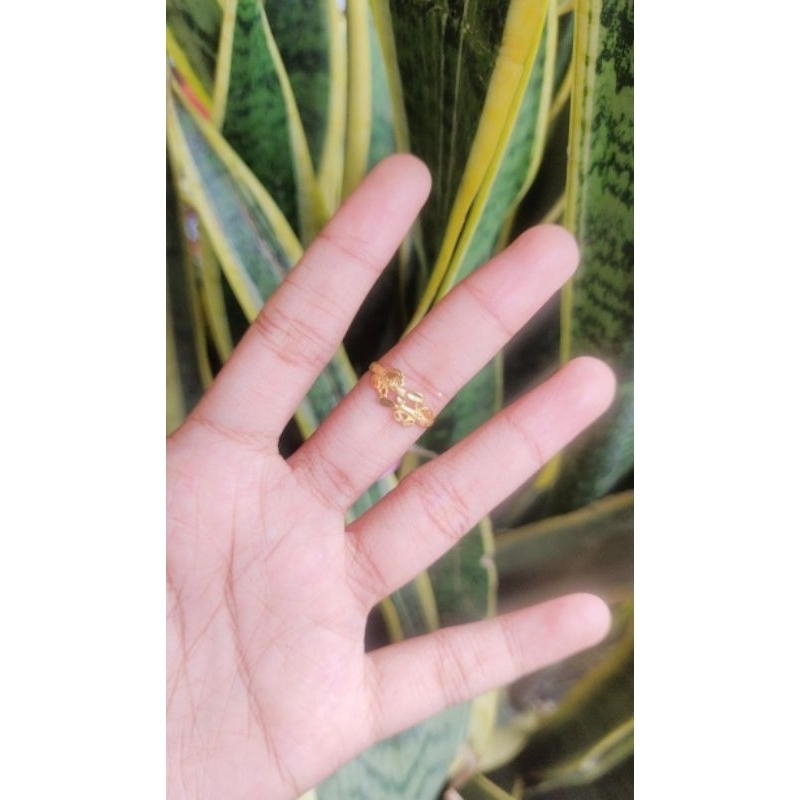 Cincin Daun Emas 916