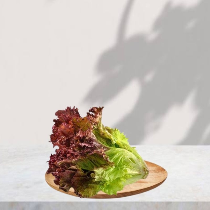 

Salada Merah Organik