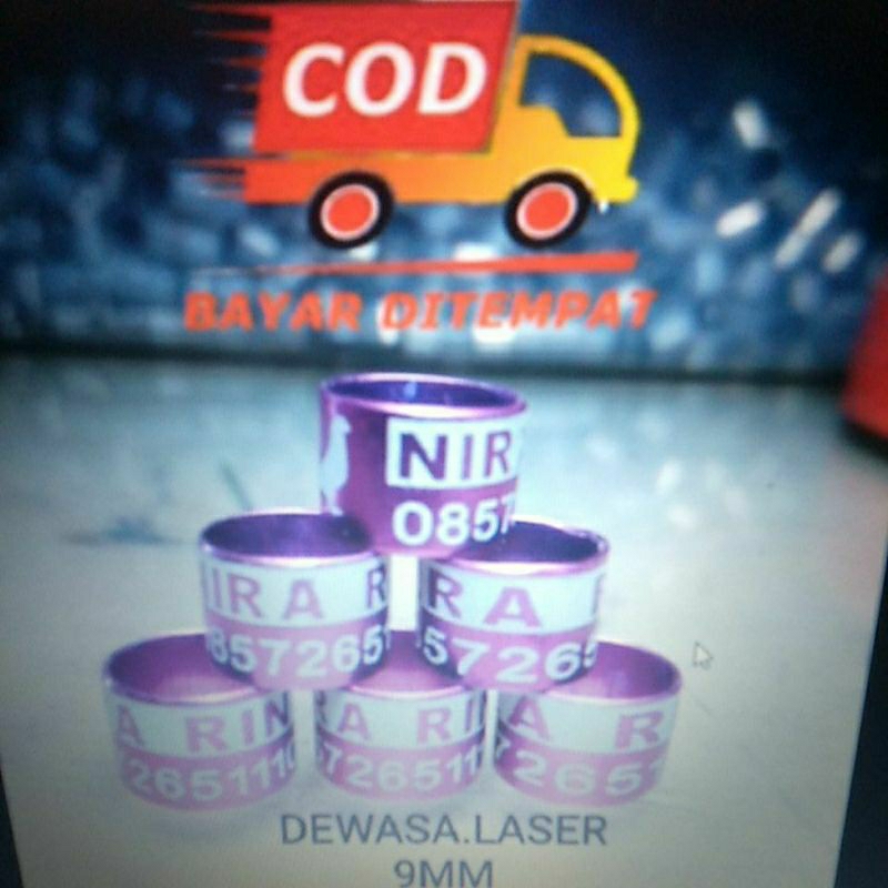 Gelang atau ring burung