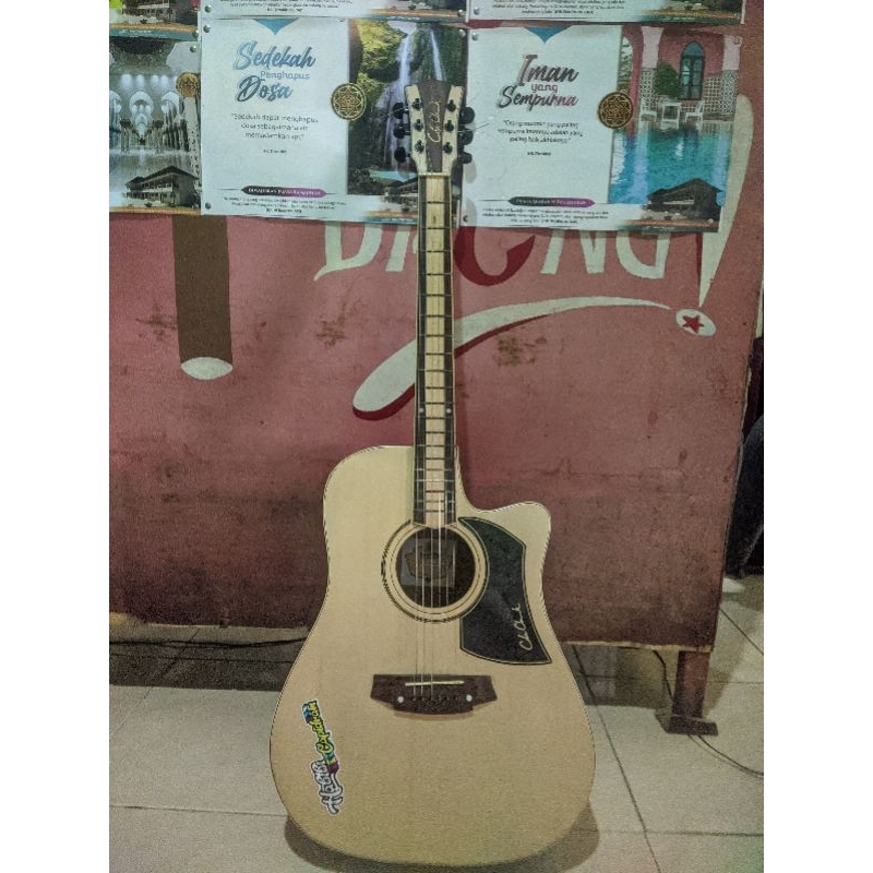 Gitar Cole Clark Original Equalizer plus IRIG