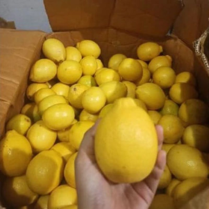 

PEROMO Lemon california super 1Kg diskon prodak baru