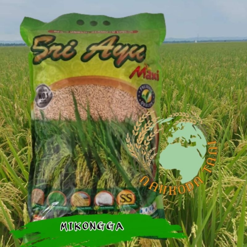 Benih padi MIKONGGA SRI AYU 5kg