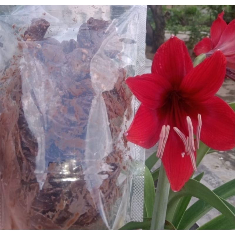 

keripik coklat kacang 150grm