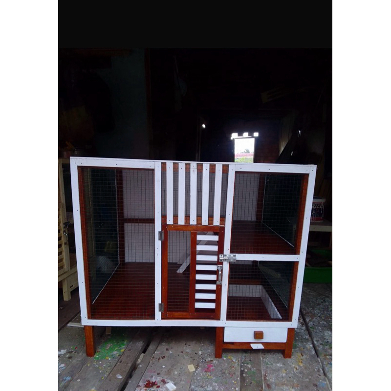 (Chat sebelum Beli) Kandang Kucing Palembang