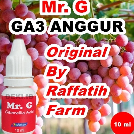 SALE Mr G Hormon GA3 Untuk Tanaman Anggur By Raffatih Farm GA 3