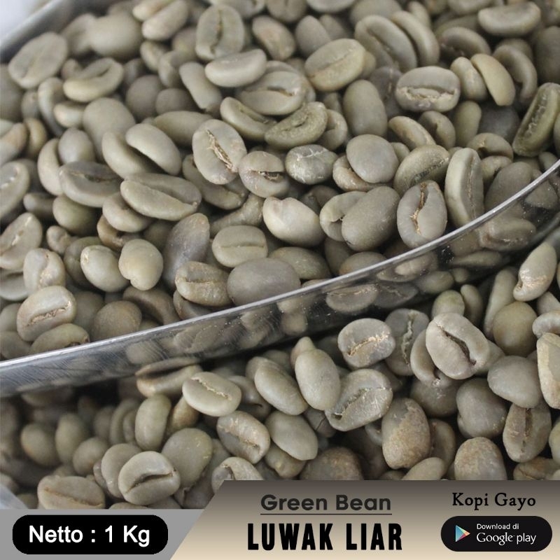 

Green Bean Kopi Luwak Liar Aceh Gayo 1000 Gr