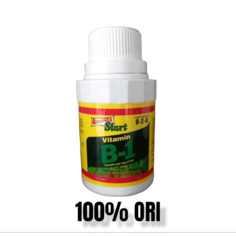 VIT B1 TANAMAN HIAS ORIGINAL