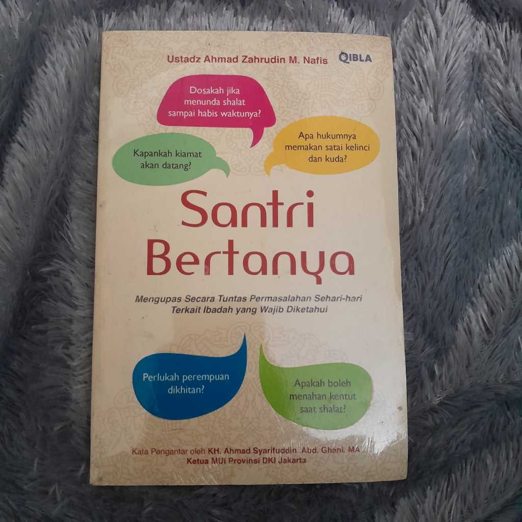 NOVEL SANTRI