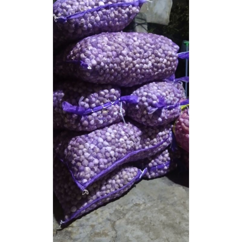 

Bawang putih tunggal karungan 20 kg sedang