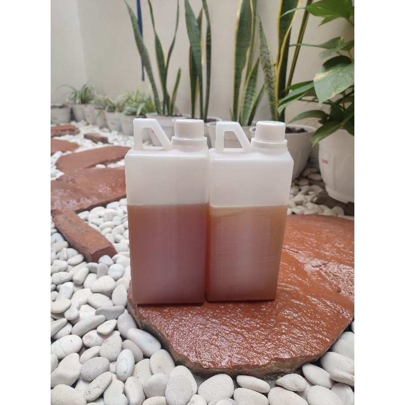 

Madu Murni dari Hutan Asli
