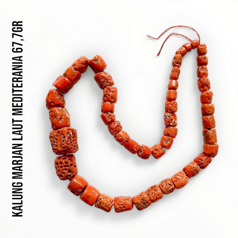 Kalung Marjan Corallium Rubrum Asli Laut Mediterania 67,76 Gram