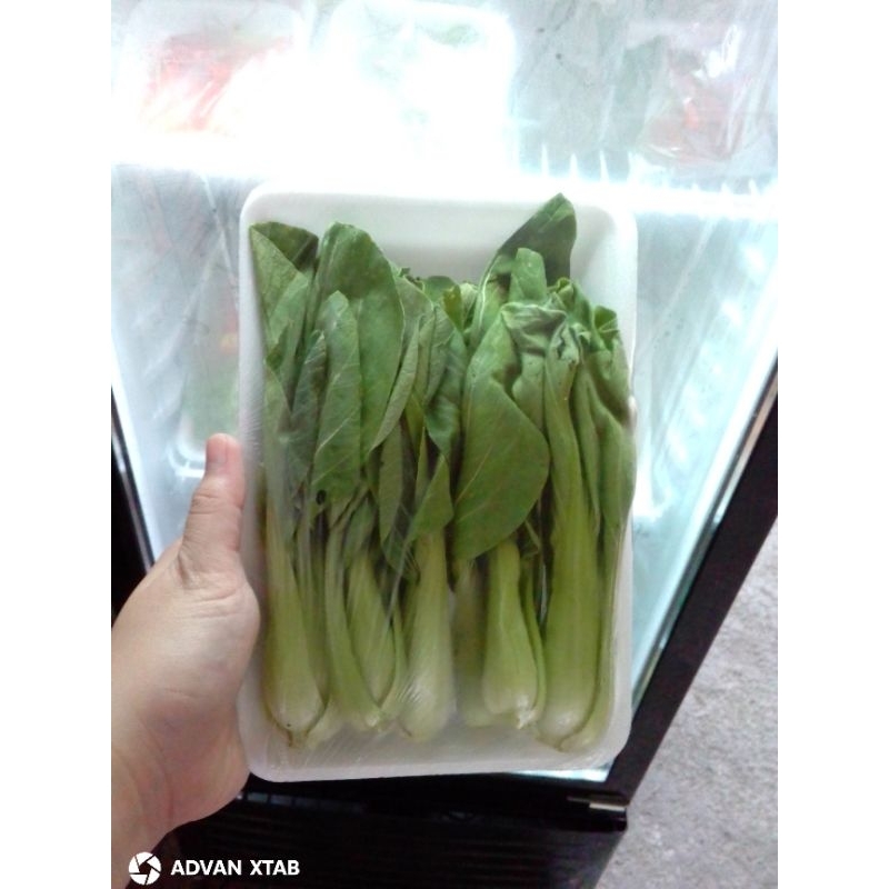 

Pakcoy Segar per 150 gr