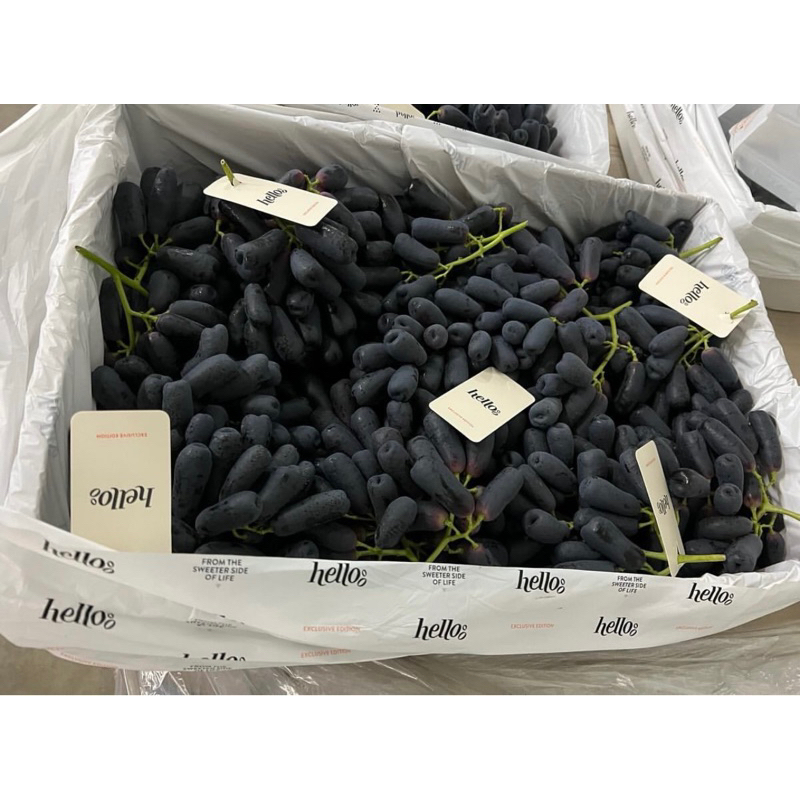 

BUAH ANGGUR BLACK SAFIR WADDROP MANISS &. GARING