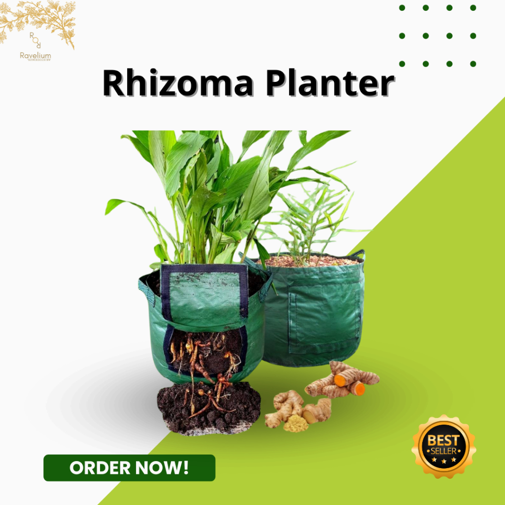 Rhizoma Planter/Planter Bag Khusus Empon-Empon, Umbi, Rhizoma
