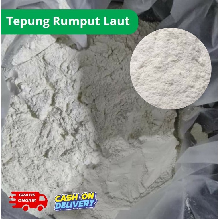 

TEPUNG RUMPUT LAUT BUBUK Pergram - COD - Gratis Ongkir