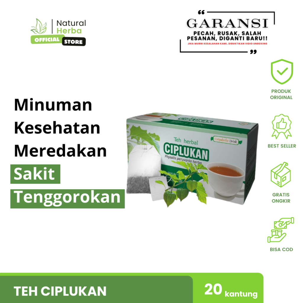 

Minuman Kesehatan Meredakan Sakit Tenggorokan Teh Herbal Ciplukan