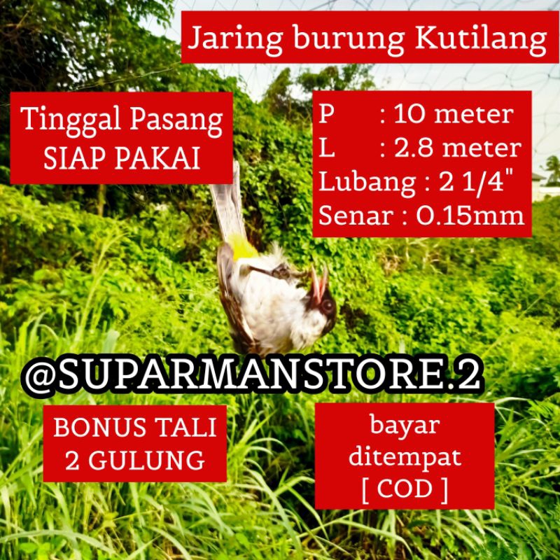 JARING BURUNG KUTILANG 10 METER JARING KUTILANG 10X3 M JARING BURUNG KUTILANG SIAP PAKAI JALA MANUK 