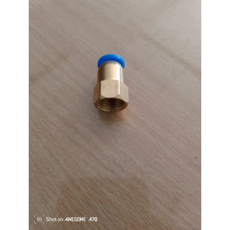 Nempel Selang slot 6mm Drat dalam 1/4(13mm)