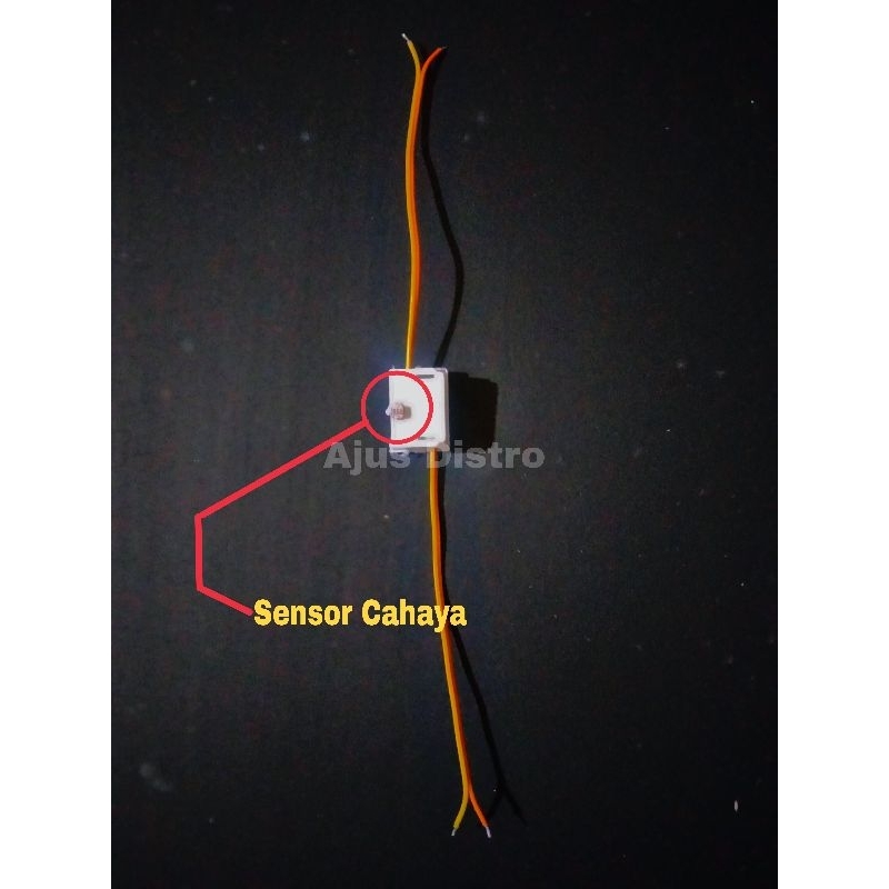 Sensor Cahaya lampu layangan