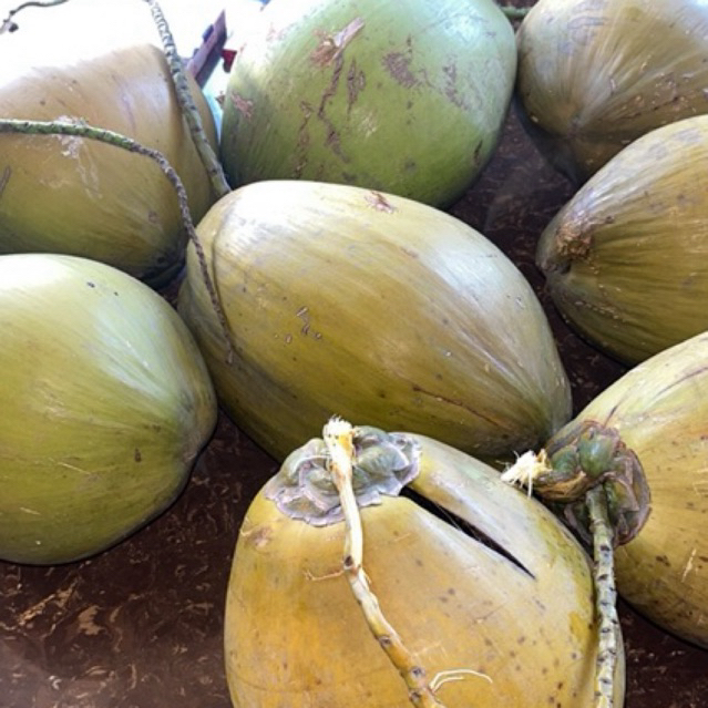 

Buah Kelapa Kopyor Segar Asli Dukuhseti pati